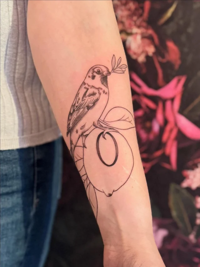 Gestern war die Liebe @c_aro12.11 bei mir um dieses mega coole Projekt zusammen mit mir umzusetzen. 
Das ist das Ergebnis nach der ersten Sitzung. Nächstes mal gibt’s Farbe ❤️ Danke Caro 
#tattoo #tattooed #tattoos #bird #spatz #tattoolifestyle #tattooist #tattooing #tattoostyle #tattoomagazine #tattoogirls #tattooartists #tattoowork #tattooworkers #tattoolover #tattoodelicada #tattooaddict #tattoodesigns #tattoolovers #tattooidea #ink #inkaddict #inked #inkedgirls
